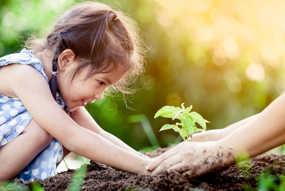 Девочка сажает дерево